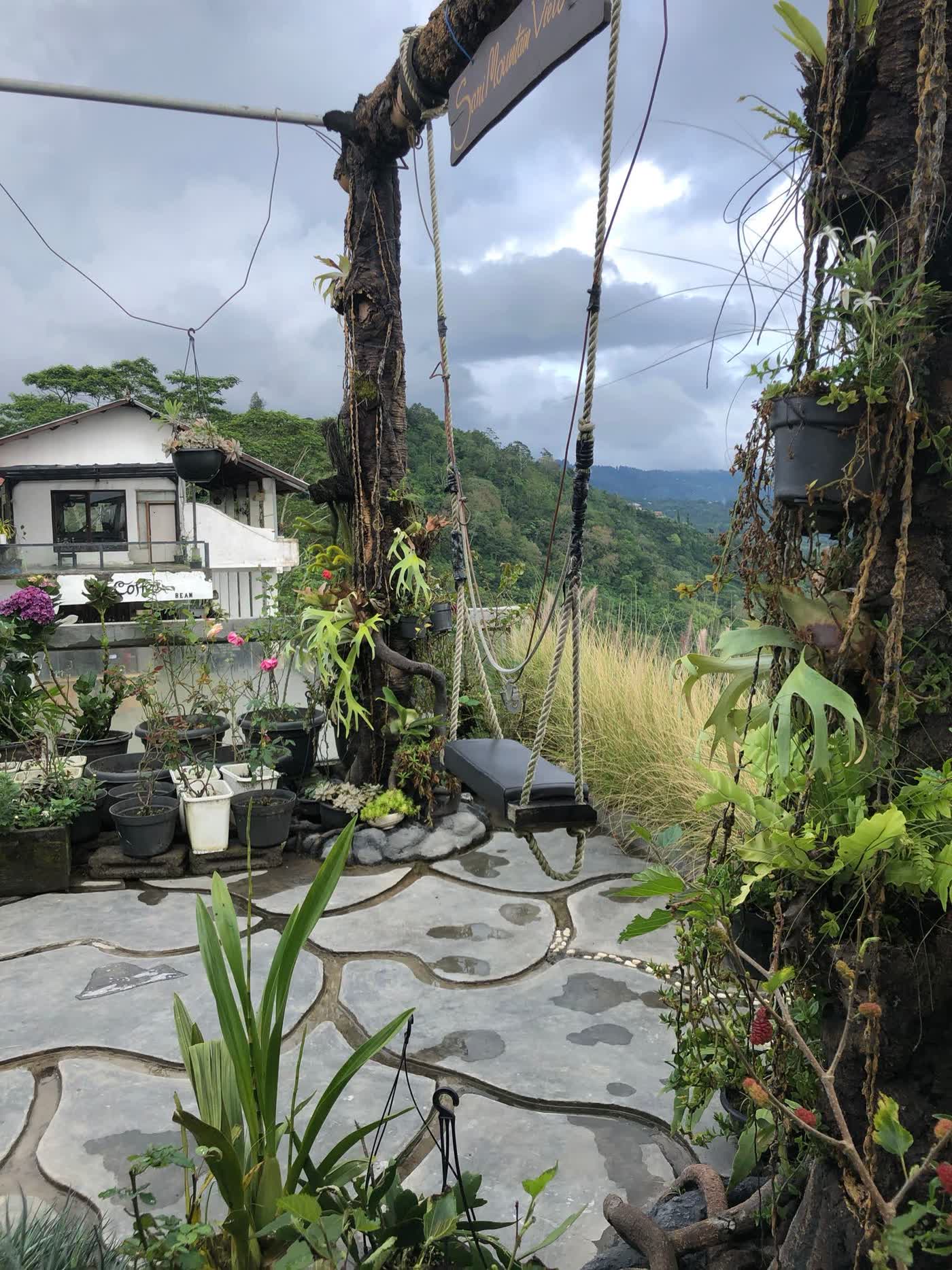 Balcony with planters and a glass railing above the deodar forest